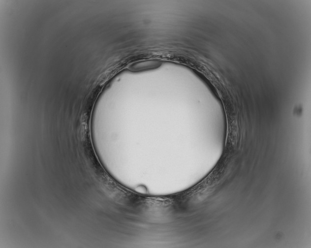 X0000089930707200707271757