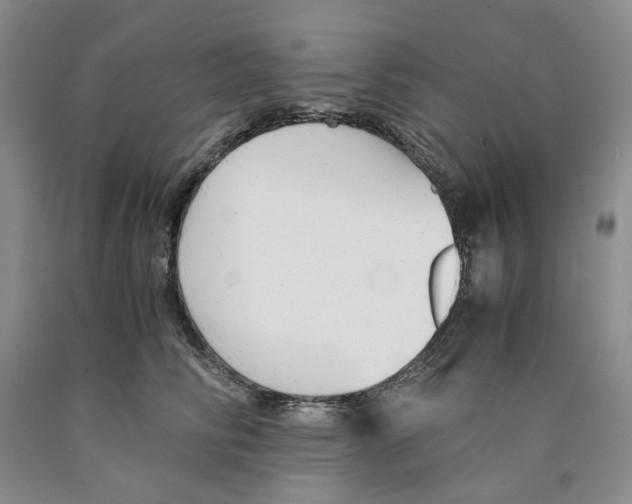 X0000089930710200707271757