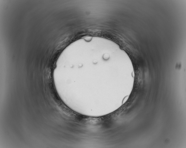 X0000089930711200707271757