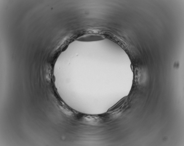 X0000089930712200707271757