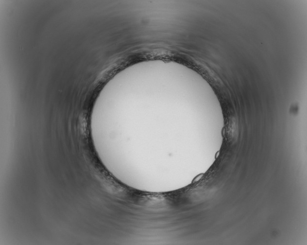 X0000089930715200707271757