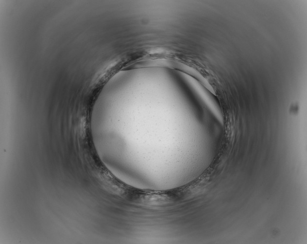 X0000089930716200707271757