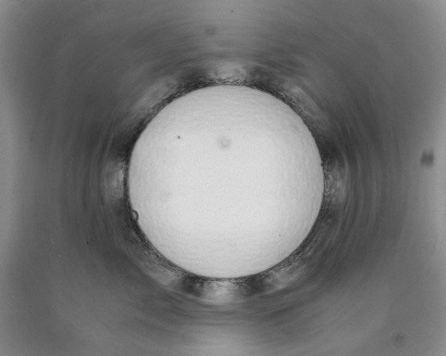 X0000089930717200707271757