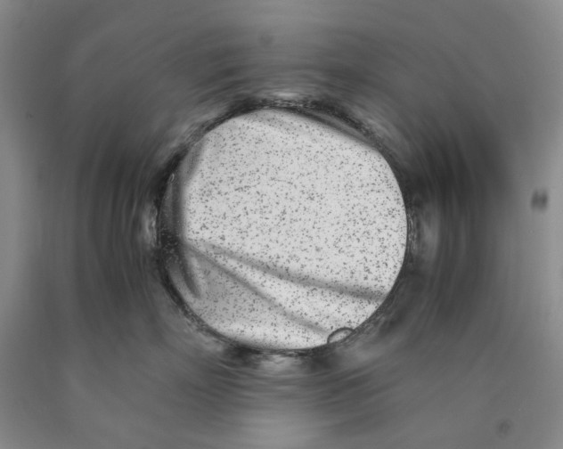 X0000089930718200707271757