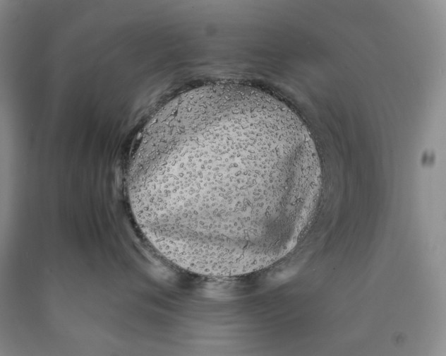 X0000089930720200707271757