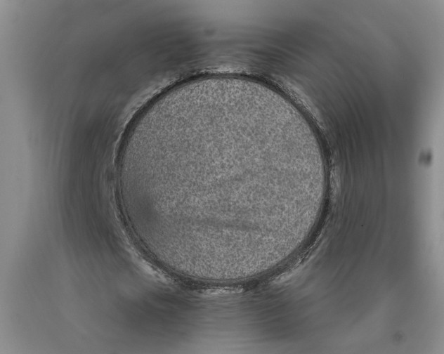 X0000089930721200707271757