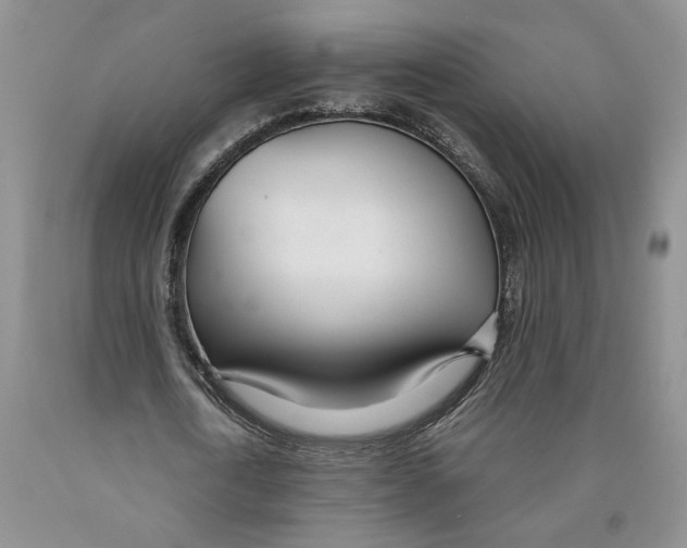 X0000089930722200707271757