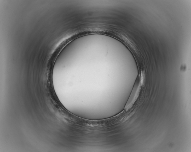 X0000089930723200707271757