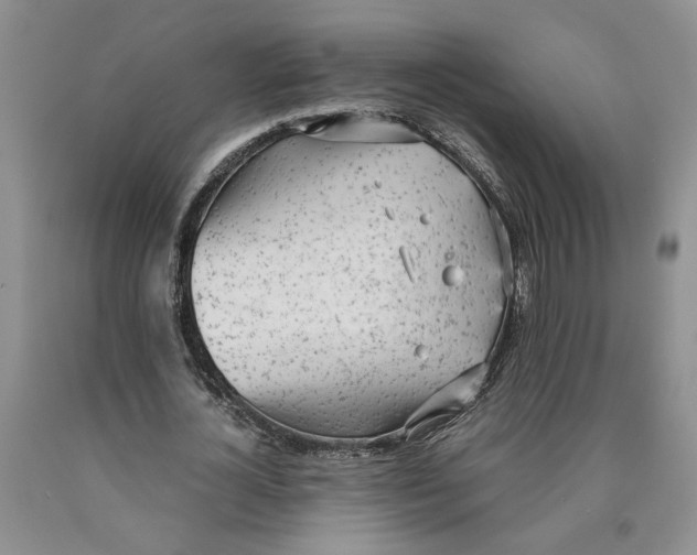 X0000089930724200707271757