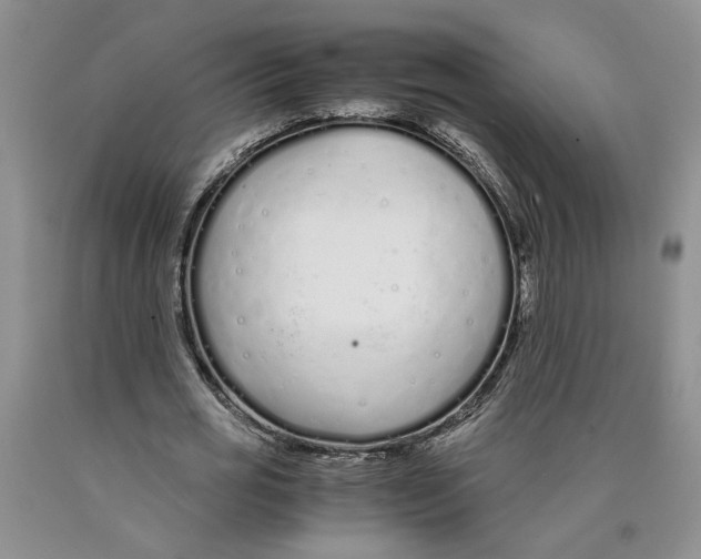 X0000089930725200707271757