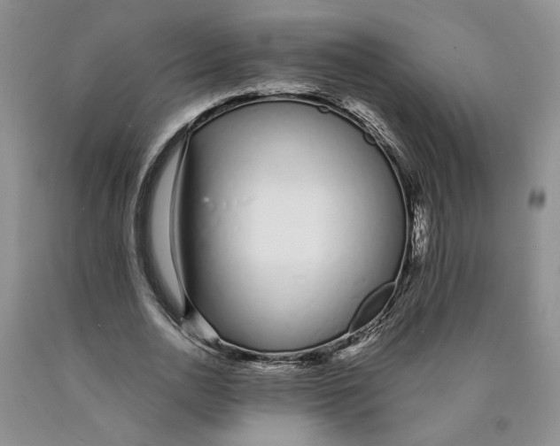 X0000089930726200707271757