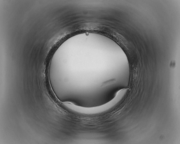 X0000089930727200707271757