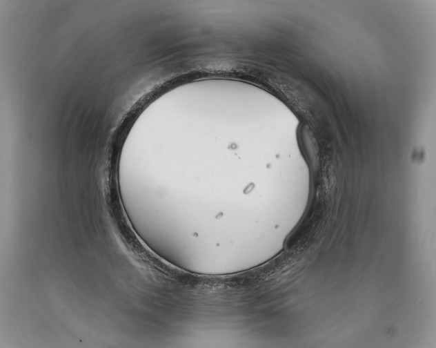 X0000089930728200707271757