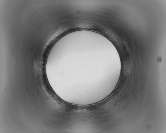 X0000089930730200707271757