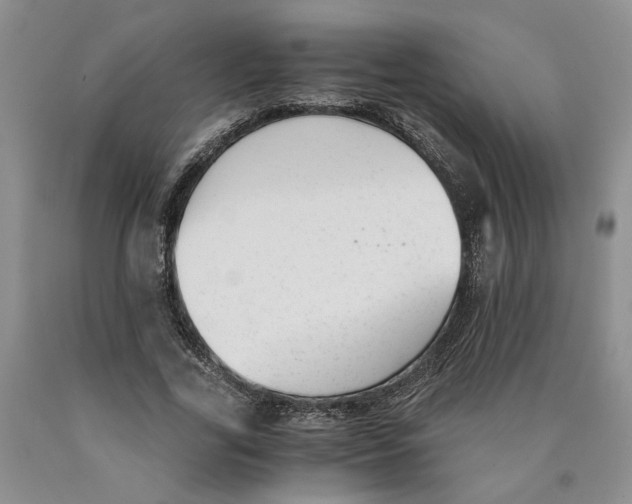 X0000089930731200707271757