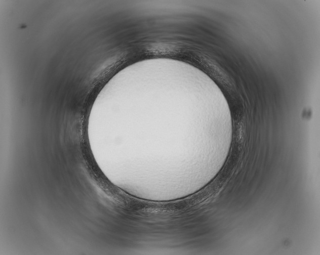 X0000089930733200707271757