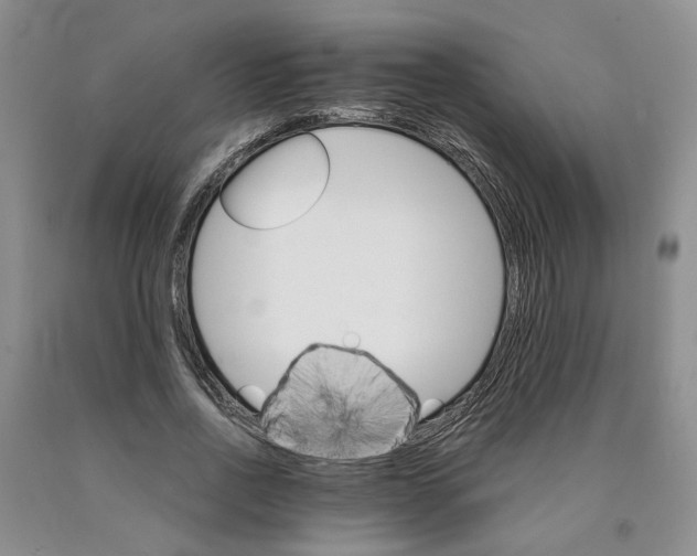 X0000089930734200707271757