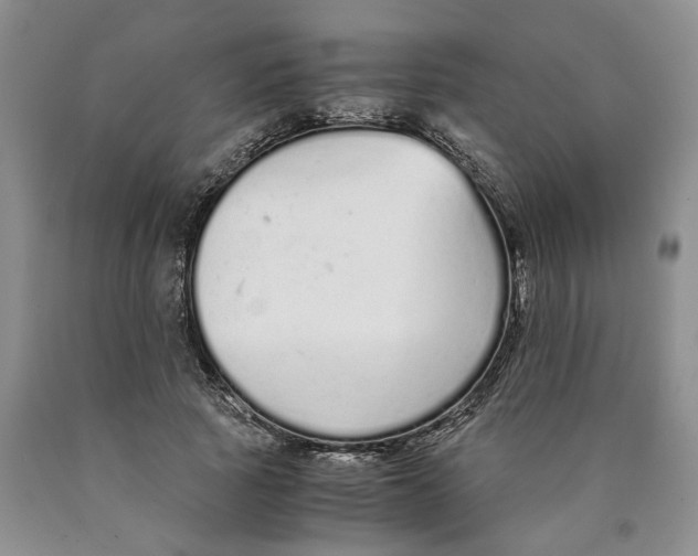 X0000089930737200707271757