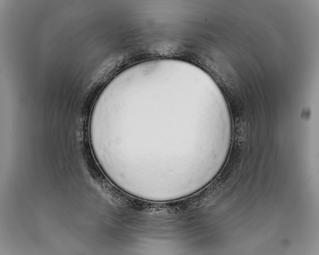 X0000089930738200707271757