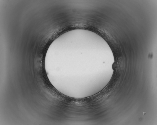 X0000089930739200707271757