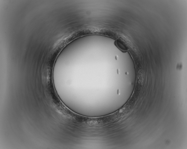 X0000089930740200707271757