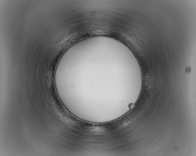 X0000089930741200707271757