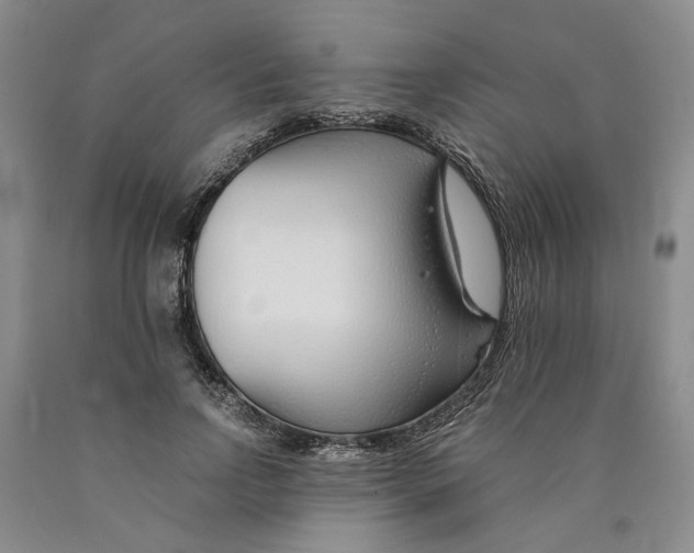 X0000089930742200707271757