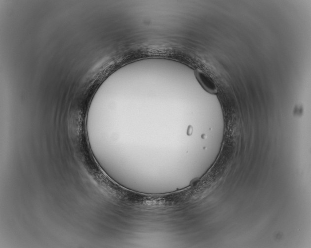 X0000089930744200707271757