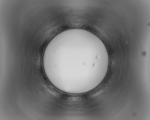 X0000089930745200707271757