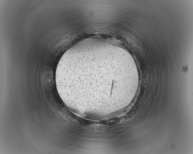 X0000089930748200707271757