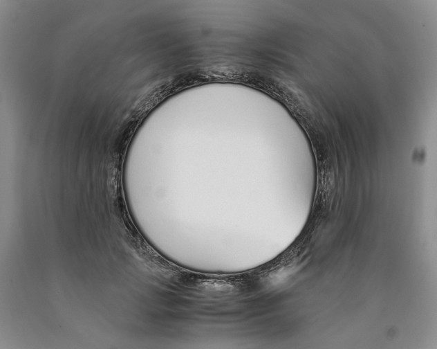 X0000089930749200707271757