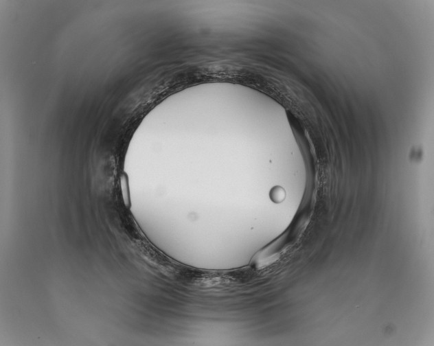 X0000089930752200707271757