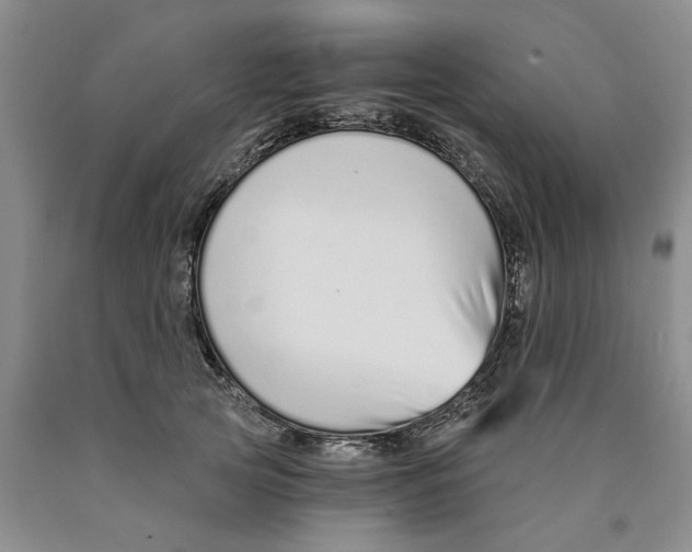 X0000089930753200707271757