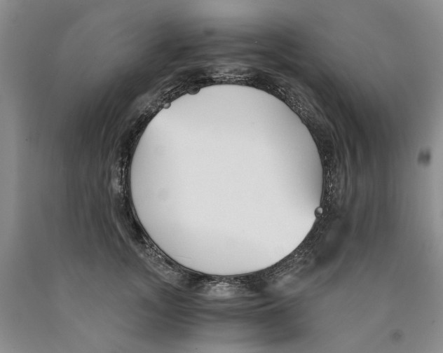 X0000089930755200707271757