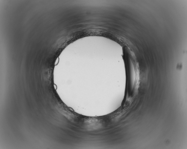 X0000089930759200707271757