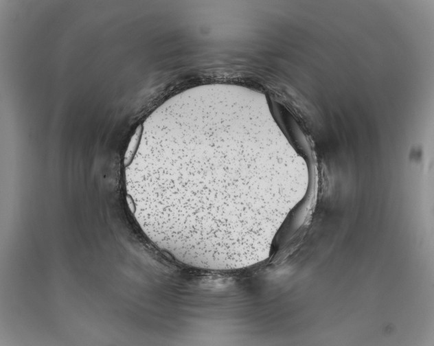 X0000089930760200707271757