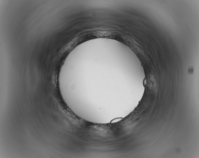 X0000089930763200707271757