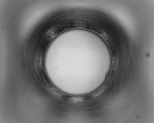 X0000089930765200707271757