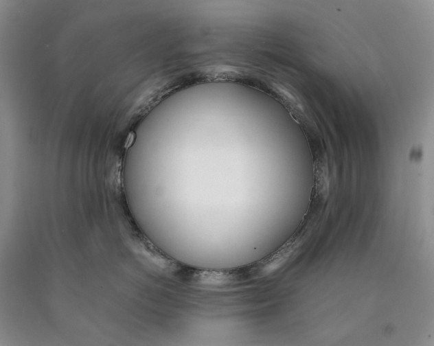 X0000089930766200707271757