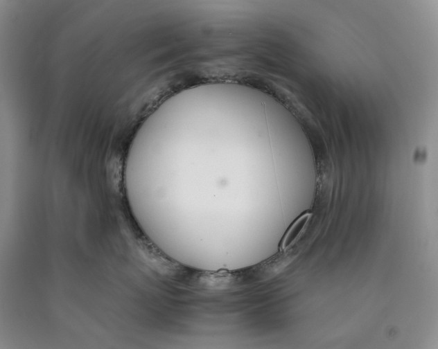 X0000089930767200707271757