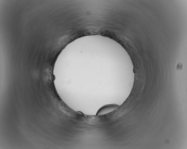 X0000089930768200707271757