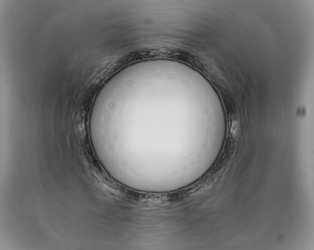 X0000089930771200707271757