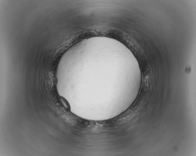 X0000089930772200707271757