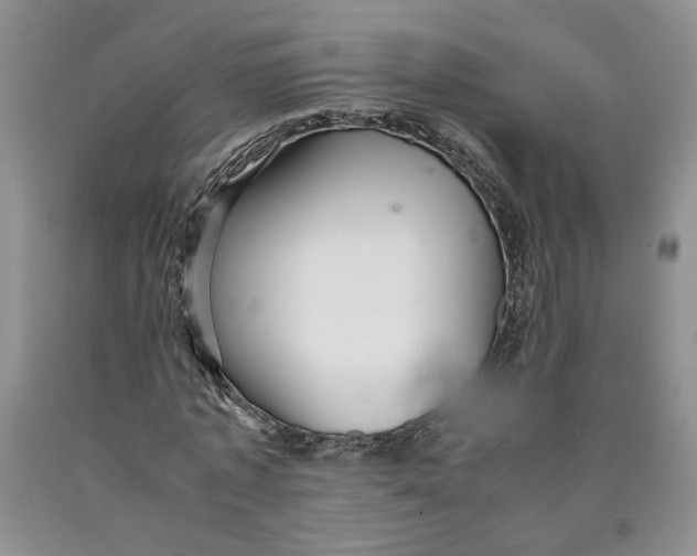 X0000089930773200707271757