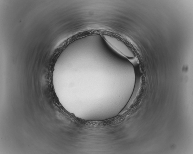 X0000089930775200707271757