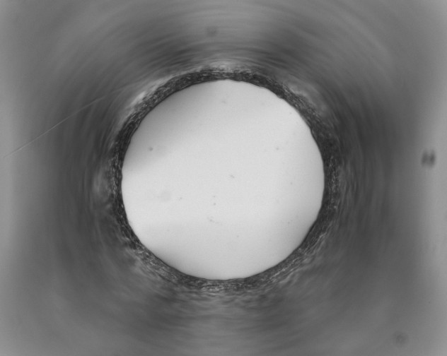 X0000089930776200707271757