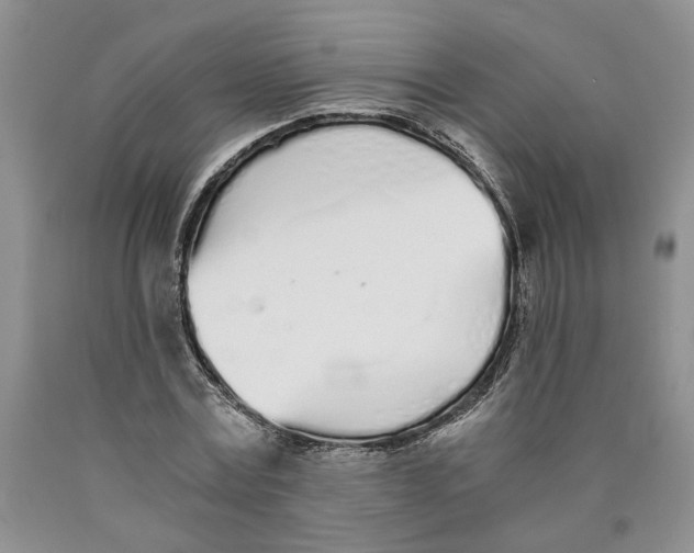 X0000089930779200707271757