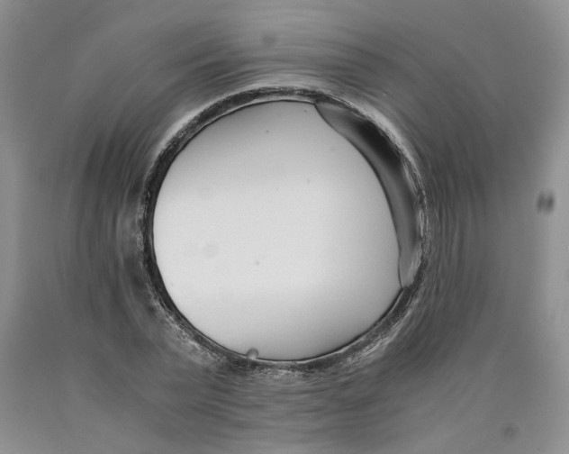 X0000089930783200707271757