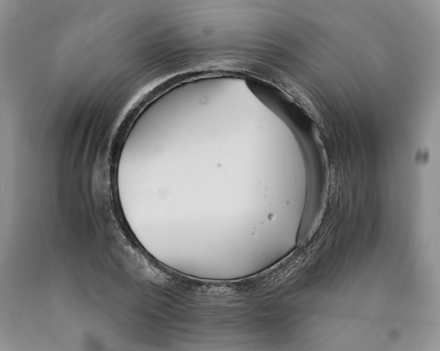 X0000089930784200707271757