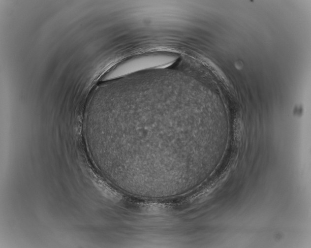 X0000089930785200707271757